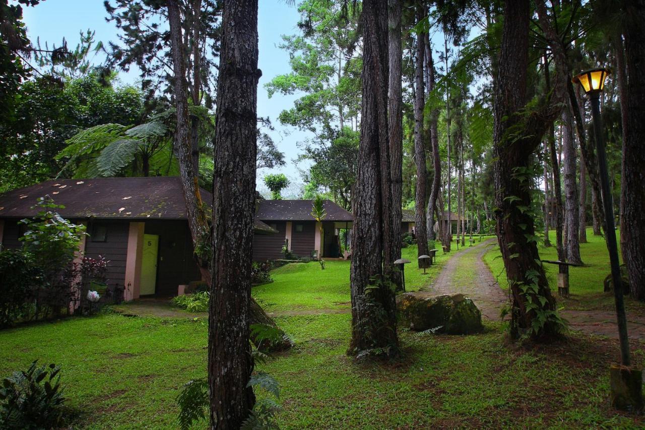 Eden Nature Park And Resort Davao City Dış mekan fotoğraf